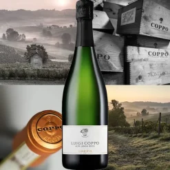 Luigi Coppo Alta Langa DOCG 2020 Cantine Coppo