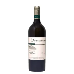 Luigi Moio Grande Cuvèe Irpinia DOC 2019 Cantina Quintodecimo