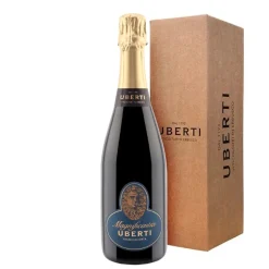 Magnificentia Franciacorta DOCG Satèn - Uberti