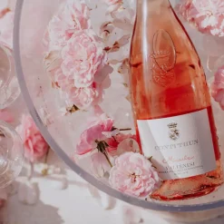 Micaela Rosé Valtènesi Riviera del Garda Classico DOC 2024 Conti Thun