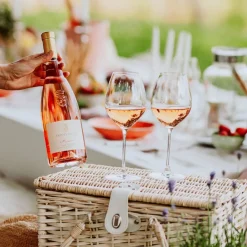 Micaela Rosé Valtènesi Riviera del Garda Classico DOC 2024 Conti Thun