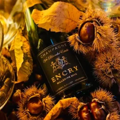 Millesime Memorie Zero Dosage Blanc De Blancs Champagne AOC 2015 Encry