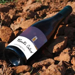 Monte Calvo Maremma Toscana DOC 2022 Sassotondo