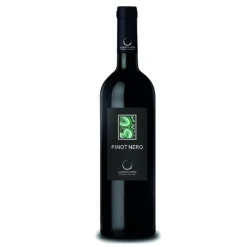 347 MSLM Pinot Noir Province of Pavia IGT 2024 Alberto Fiori