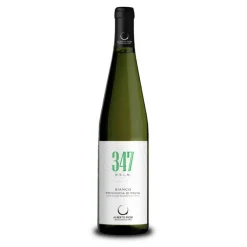 347 MSLM Riesling Provincia di Pavia IGT 2023 Alberto Fiori