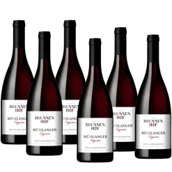 Muhlanger Lagrein Alto Adige DOC 2023 Bio Tenuta Brunnenhof
