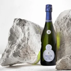 61 Nature Blanc De Blancs Franciacorta DOCG 2016 Cantine Berlucchi