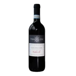 Nebbiolo Coste della Sesia DOC 2024 - Cantina Travaglini Gattinara