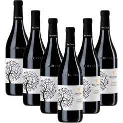 Nebbiolo Langhe DOC 2024 - Bel Colle