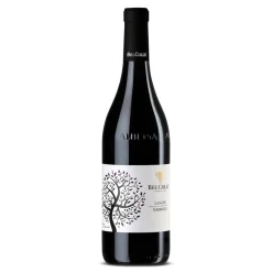 Nebbiolo Langhe DOC 2025 - Bel Colle