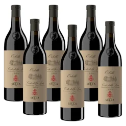 Orbello Nebbiolo Coste Della Sesia DOC 2024 - Tenute Sella