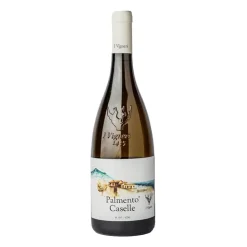 Palmento Etna DOC 2020 I Vigneri Di Salvo Foti