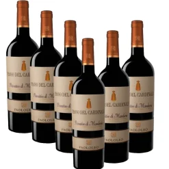 Passo Del Cardinale Primitivo Di Manduria DOC 2023 Cantina Paololeo