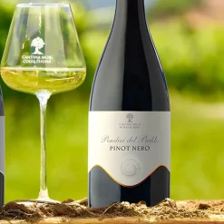 Pendici Del Baldo Trentino DOC 2020 Cantina Mori Colli Zugna