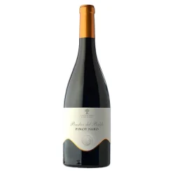 Pendici Del Baldo Trentino DOC 2020 Cantina Mori Colli Zugna