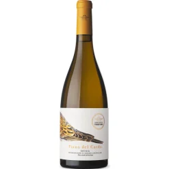 Pian Del Cardo Falanghina Irpinia DOC 2024 Passo Delle Tortore