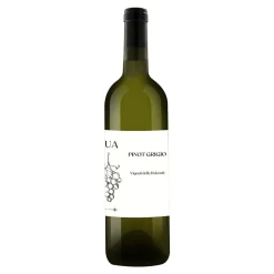 Pinot Grigio Vigneti Delle Dolomiti IGT 2023 - L'Ua