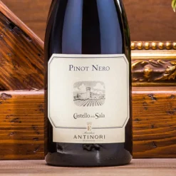 Pinot Nero Della Sala Umbria IGT 2021 Cantine Marchesi Antinori