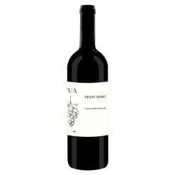 Pinot Nero Vigneti Delle Dolomiti IGT 2023 - L'Ua