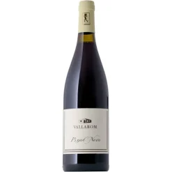 Pinot Noir Vallagarina IGT 2024 BIO - Azienda Agricola Vallarom