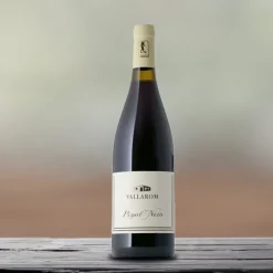 Pinot Noir Vallagarina IGT 2021 Vallarom Farm