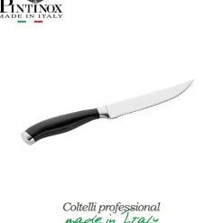 Pintinox Professionali Coltelli Con Ceppo In Acciaio Inox - Set 6 Pz
