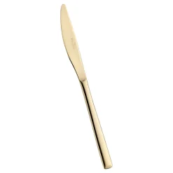 Pintinox Synthesis Coltello Tavola In Acciaio Inox - Set 12 Pz