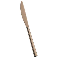 Pintinox Synthesis Coltello Tavola In Acciaio Inox - Set 12 Pz