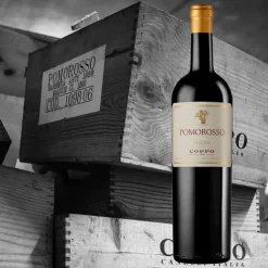 Pomorosso Nizza DOCG 2020 Cantine Coppo