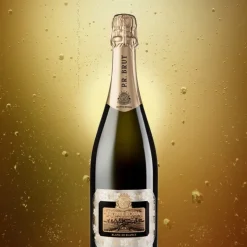 Pr Blanc De Blancs Franciacorta DOCG Monte Rossa