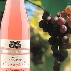 Rose D'Autunno Paestum IGP 2022 Cantina Alfonso Rotolo