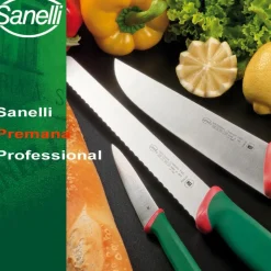 Sanelli Premana Coltello Formaggio In Acciaio inox AISI425 - Polipropilene