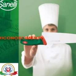 Sanelli Premana Coltello Trinciante In Acciaio inox AISI425 - Polipropilene