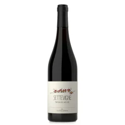Settevigne Tintilia del Molise DOC 2018 BIO - Claudio Cipressi