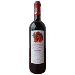 Solinghino Buttafuoco DOC 2022 Picchioni Andrea Farm