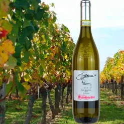 Stilema Fiano di Avellino DOCG 2019 Cantine Mastroberardino