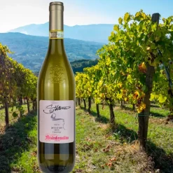 Stilema Greco di Tufo DOCG 2018 Cantine Mastroberardino
