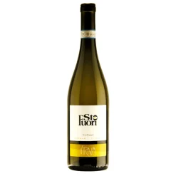 Sto Fuori Timorasso Langhe DOC 2024 - Virna Borgogno