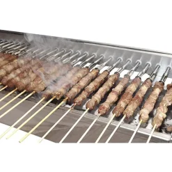 Tecnoroast 20 Single Griglia A Carbone Con Giraspiedini Automatico