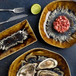Tognana Reef Oyster Piatto Piano in Porcellana Set 6 Pz