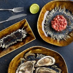 Tognana Reef Oyster Piatto Piano in Porcellana Set 6 Pz
