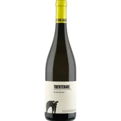 Trentenare Fiano Paestum IGP 2025 - Cantina San Salvatore 1988