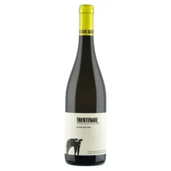 Trentenare Paestum IGP 2023 Cantina San Salvatore 1988