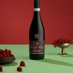 Valpolicella DOC 2021 Cantine Pasqua