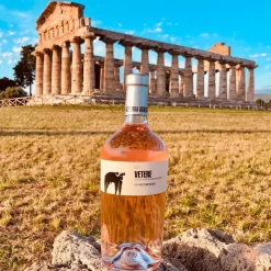 Vetere Rosato Paestum IGP 2024 Cantina San Salvatore 1988