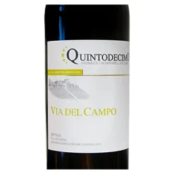 Via Del Campo Irpinia DOC 2022 Cantina Quintodecimo
