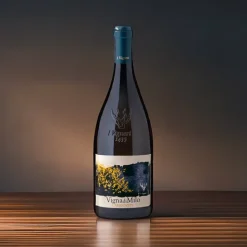Vignadimilo Etna DOC 2020 Magnum I Vigneri Di Salvo Foti