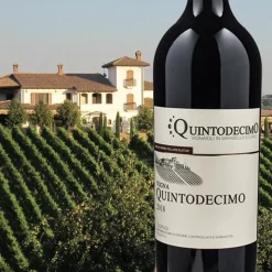 Vigna Quintodecimo Taurasi DOCG Riserva 2018 Cantina Quintodecimo