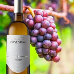 Vini Del Gelso Trentino DOC 2022 Cantina Mori Colli Zugna