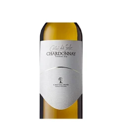 Vini Del Geso Chardonnay Trentino DOP 2021 Cantina Mori Colli Zugna